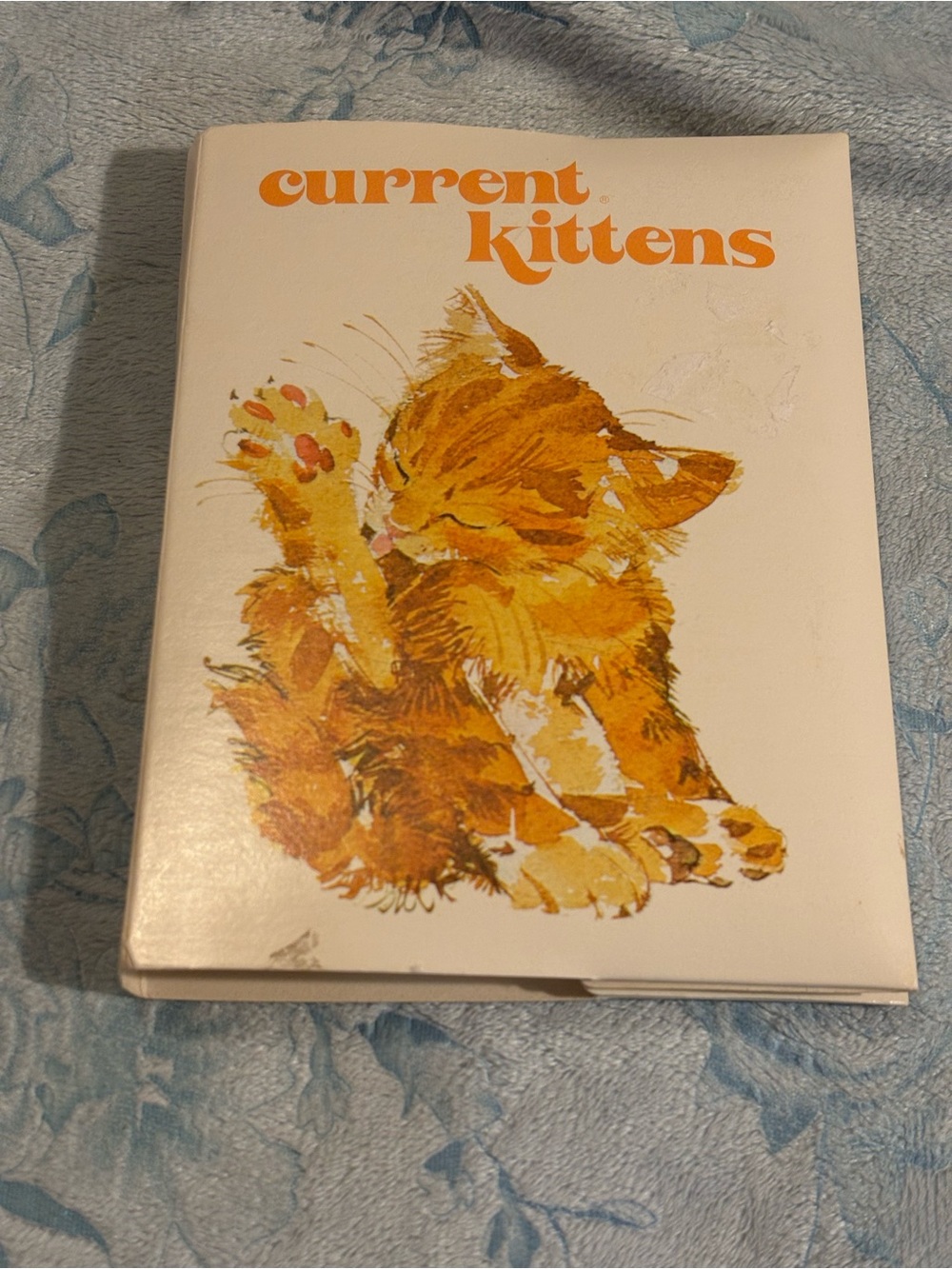 Vintage Current Kitten Notecards